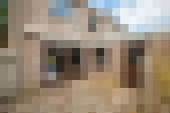 Zandweg 20 Renkum thumbnail 17