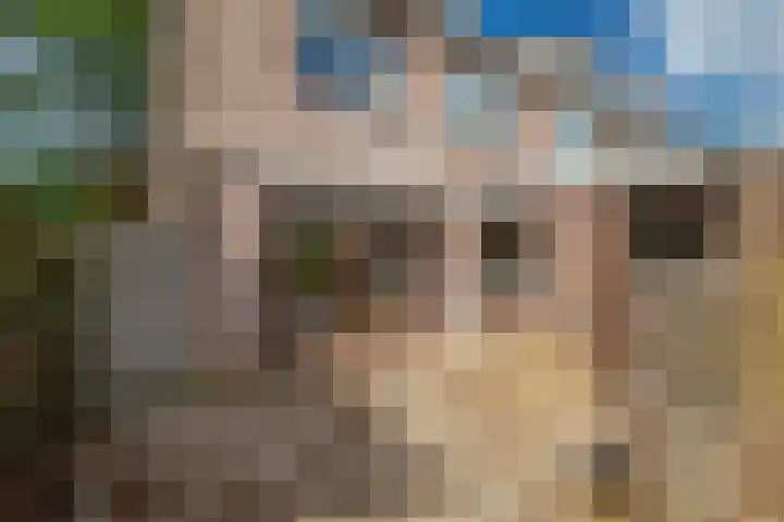Zandweg 20 Renkum thumbnail 18