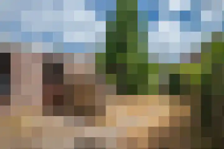Zandweg 20 Renkum thumbnail 19