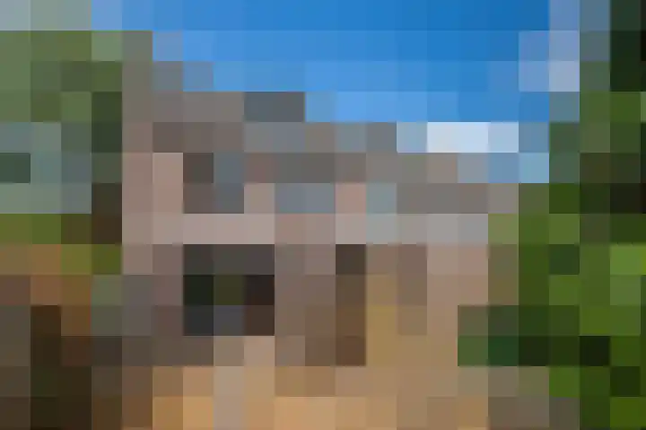 Zandweg 20 Renkum thumbnail 20