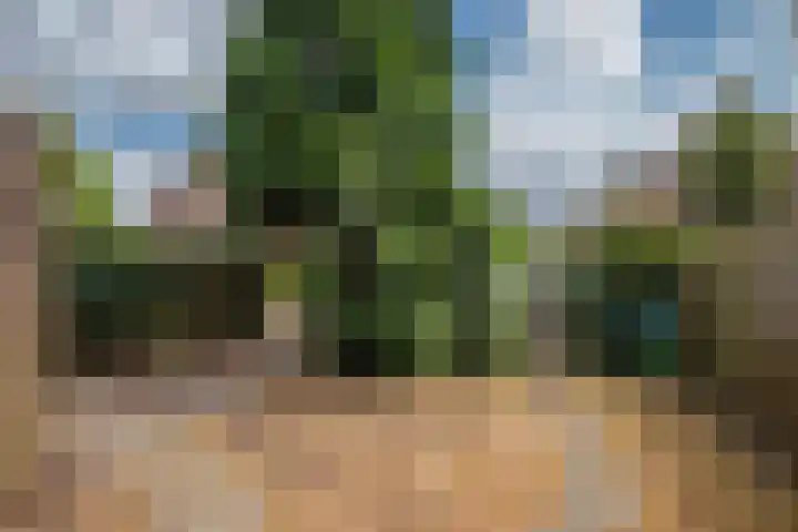 Zandweg 20 Renkum thumbnail 21