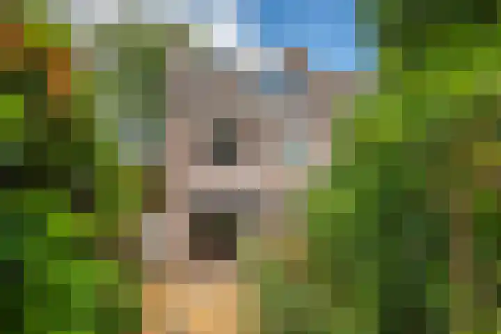 Zandweg 20 Renkum thumbnail 22