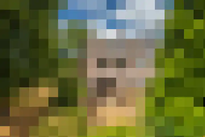 Zandweg 20 Renkum thumbnail 24