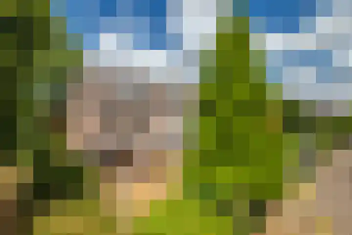 Zandweg 20 Renkum thumbnail 25