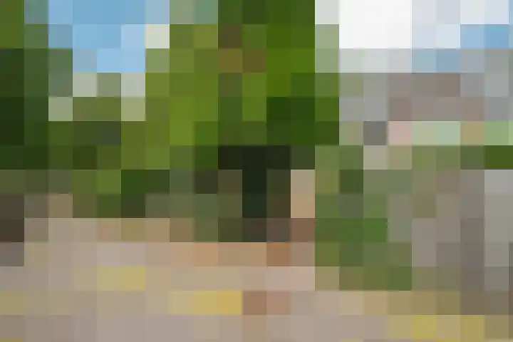 Zandweg 20 Renkum thumbnail 26