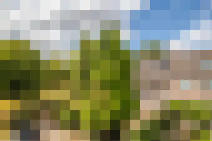 Zandweg 20 Renkum thumbnail 27