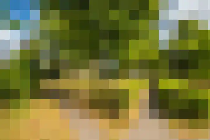 Zandweg 20 Renkum thumbnail 40