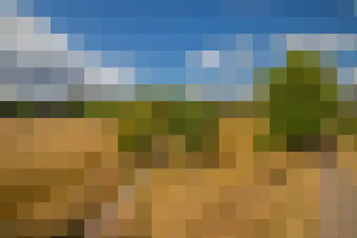 Zandweg 20 Renkum thumbnail 42