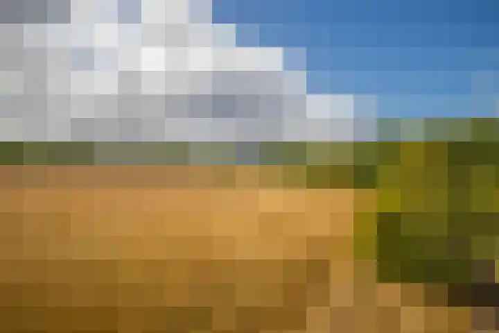 Zandweg 20 Renkum thumbnail 43