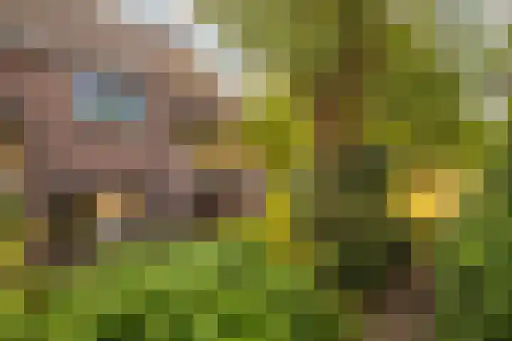 Zandweg 20 Renkum thumbnail 6