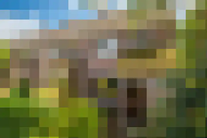 Zandweg 20 Renkum thumbnail 7