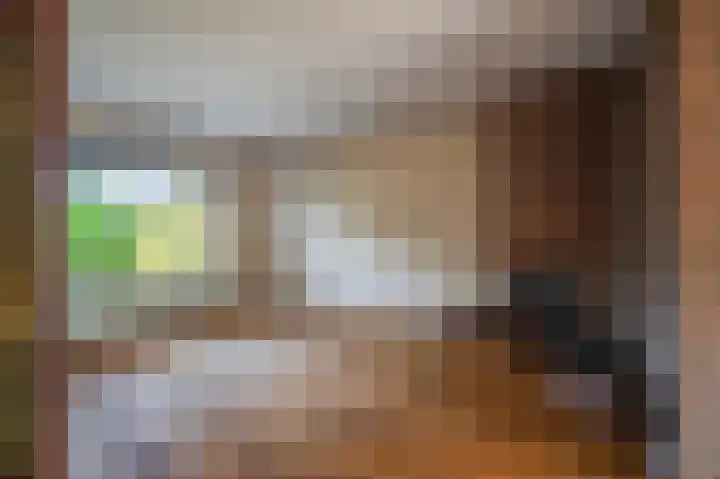 Zandweg 20 Renkum thumbnail 9