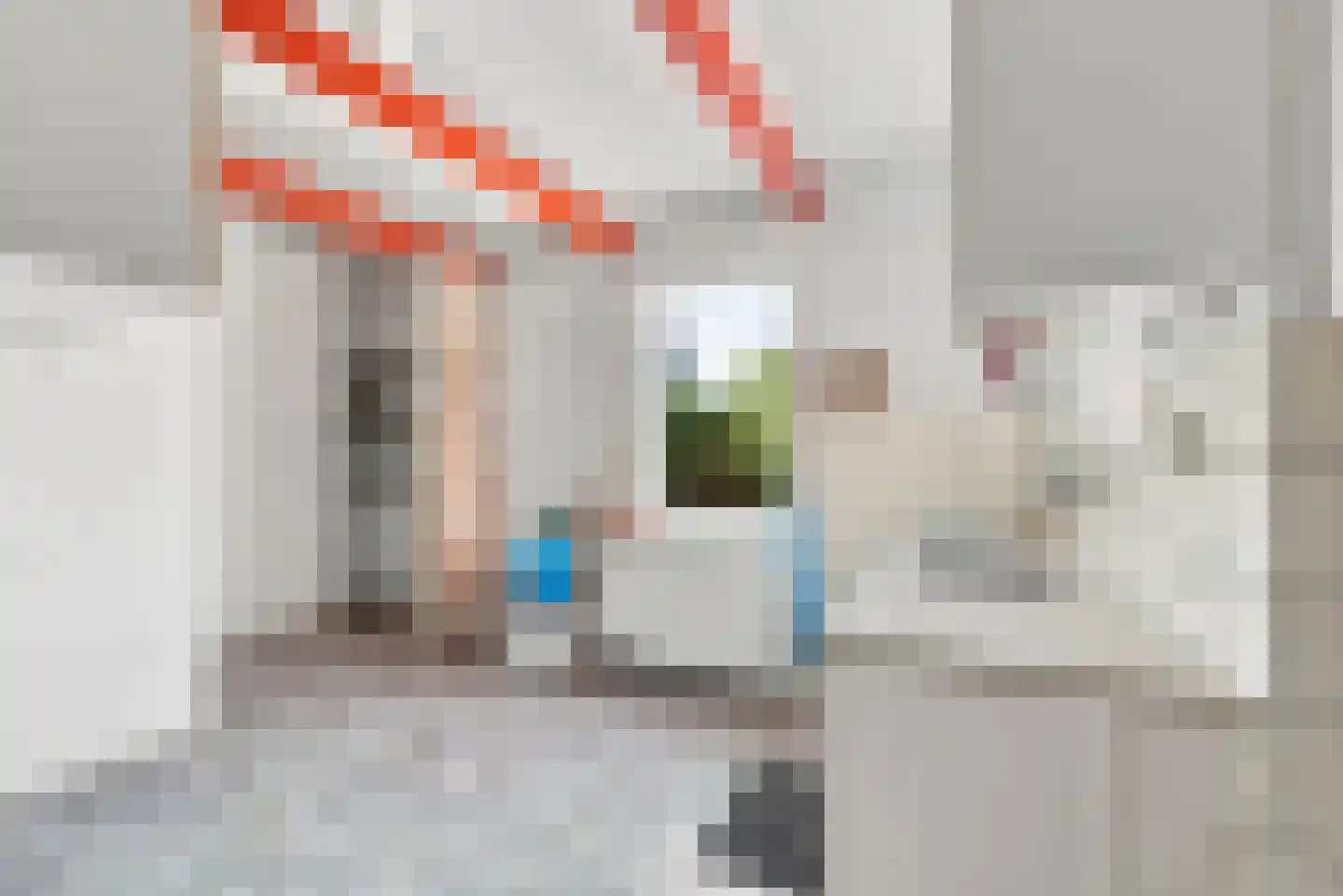 Zandweg 21 Ritthem thumbnail 18