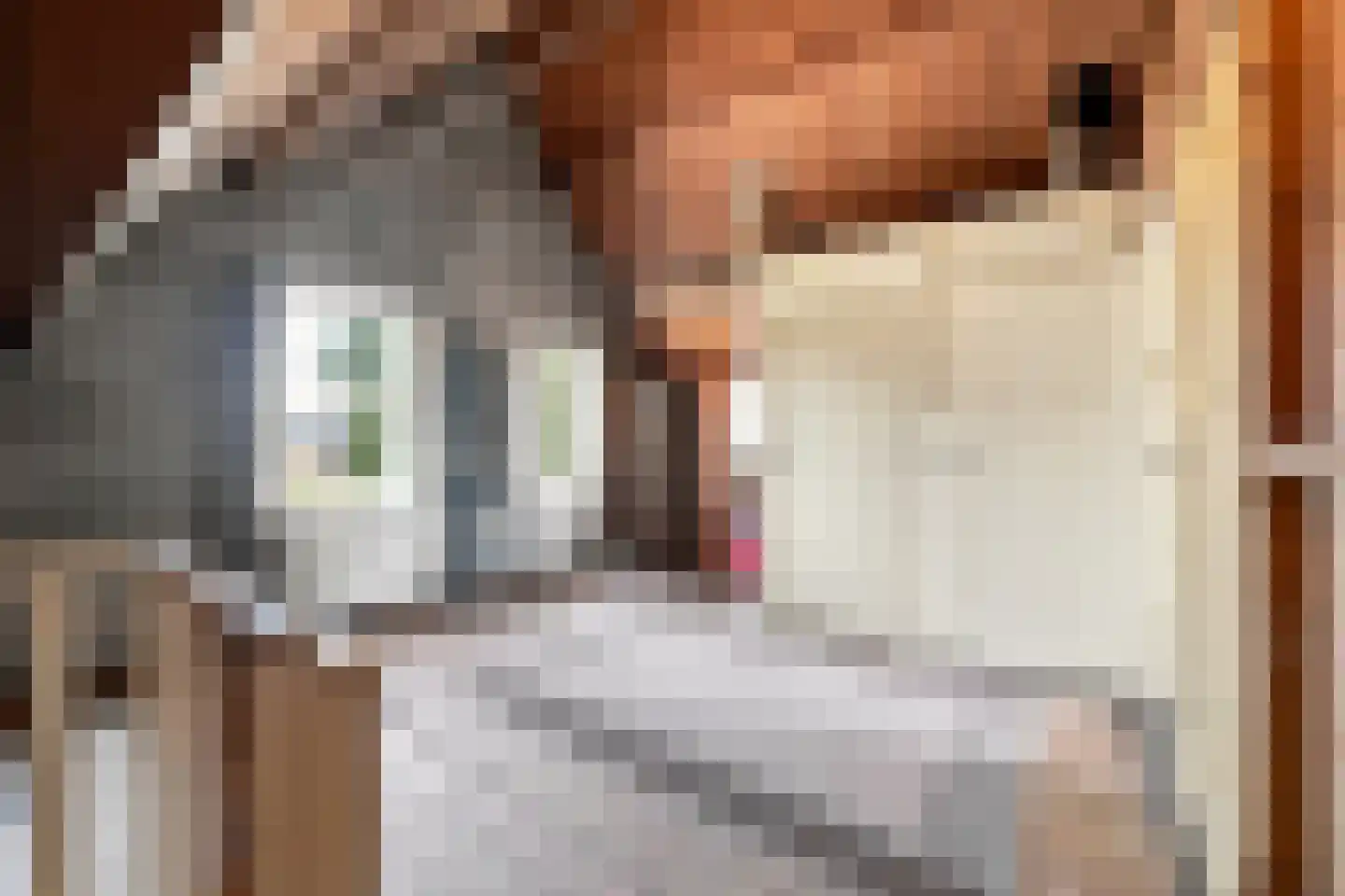 Zandweg 21 Ritthem thumbnail 20