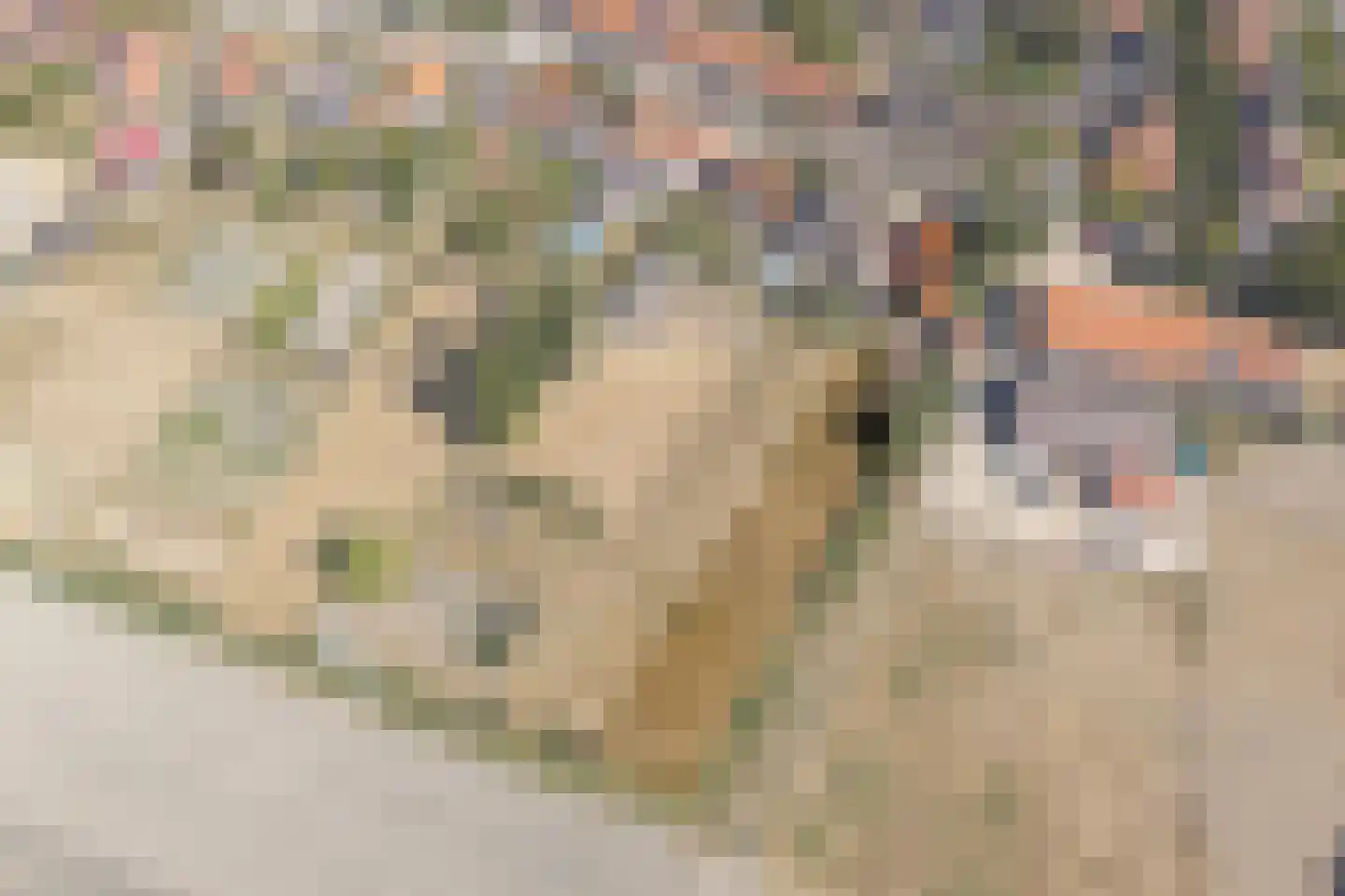 Zandweg 21 Ritthem thumbnail 43