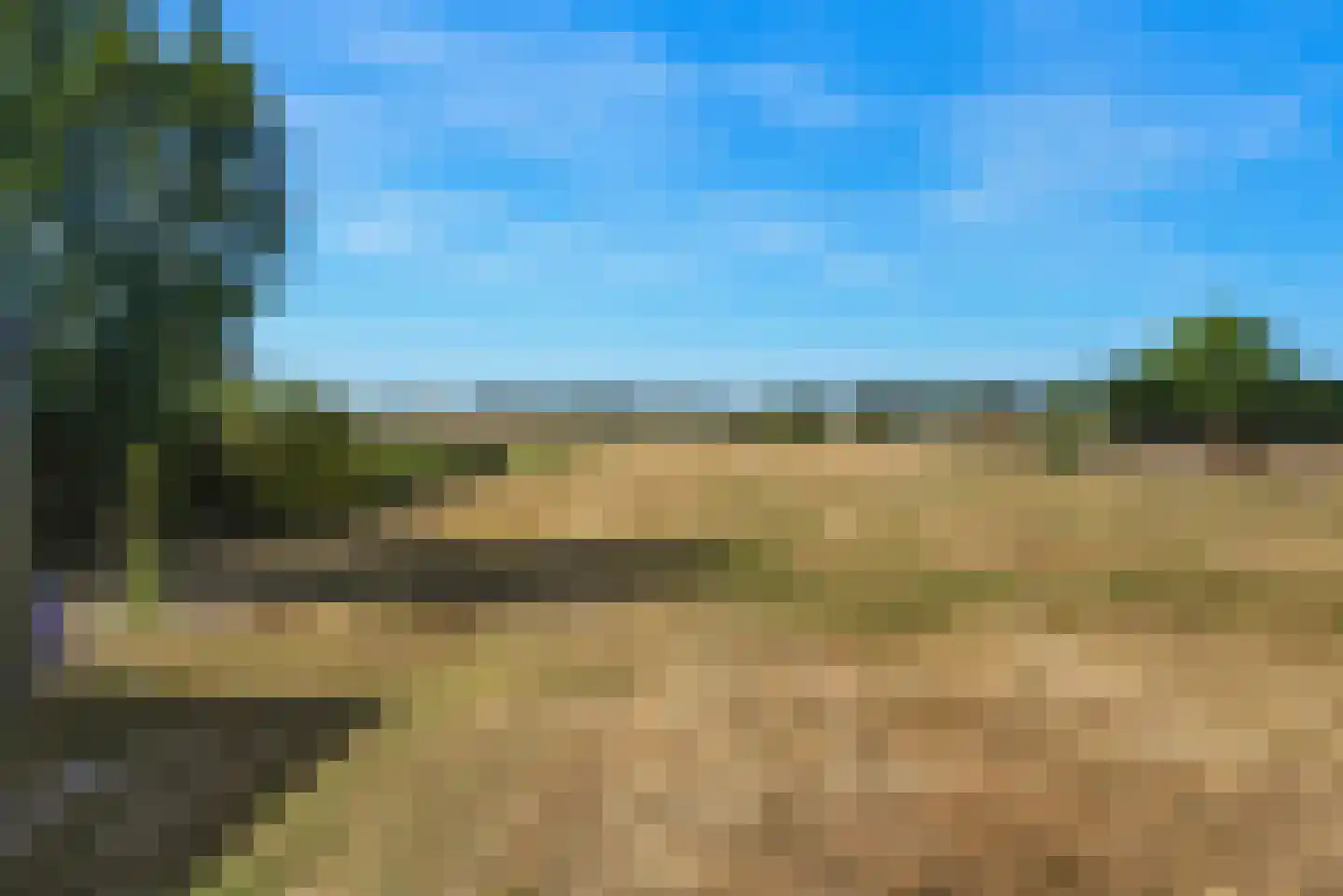 Zandweg 21 Ritthem thumbnail 5