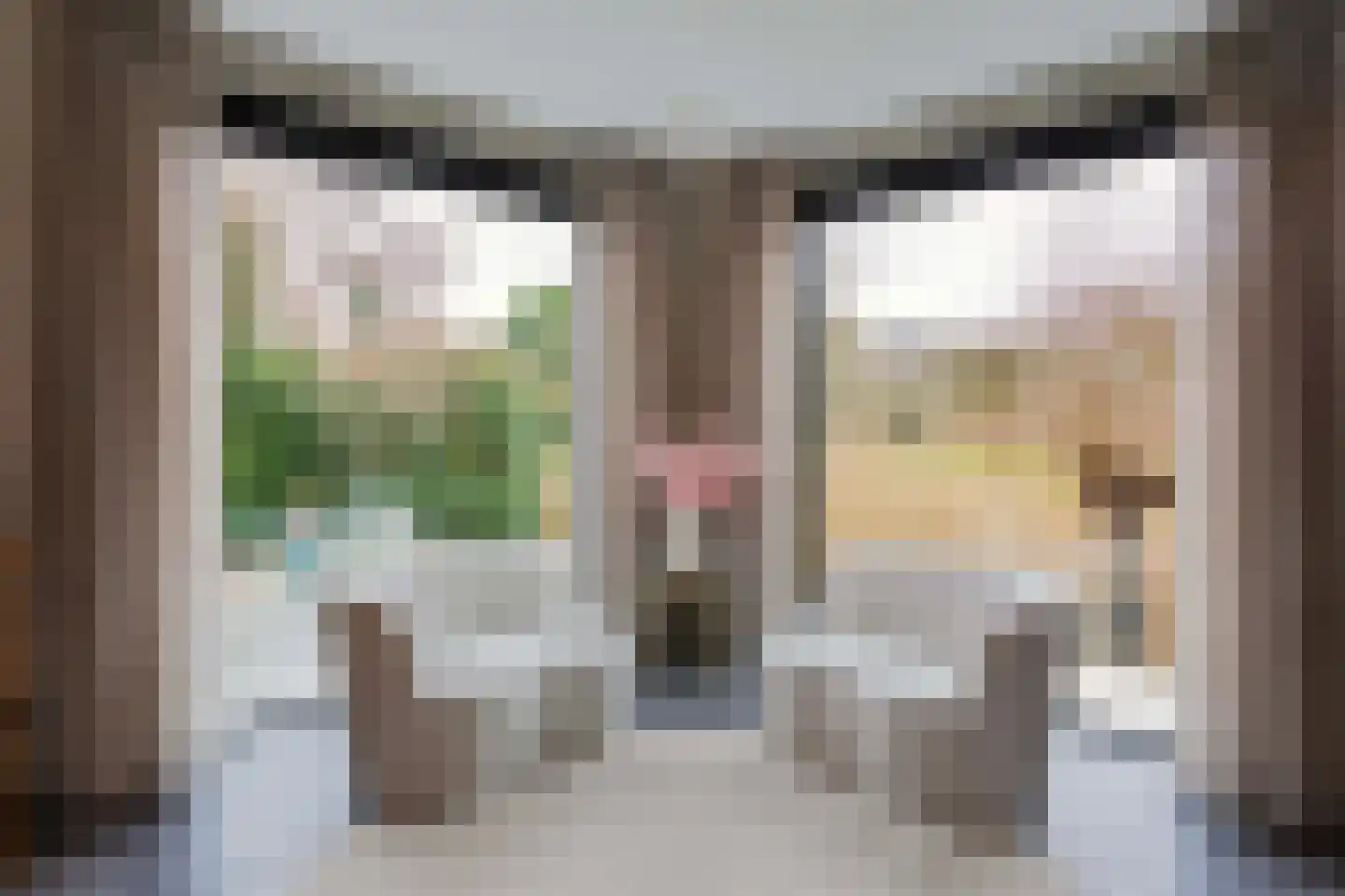 Zandweg 211 De Meern thumbnail 13