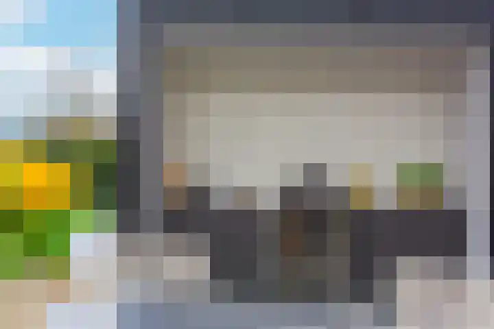 Zandweg 211 De Meern thumbnail 24