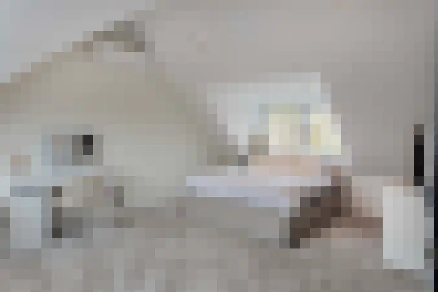 Zandweg 211 De Meern thumbnail 34