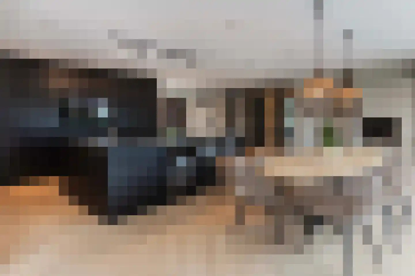 Zandweg 211 De Meern thumbnail 4