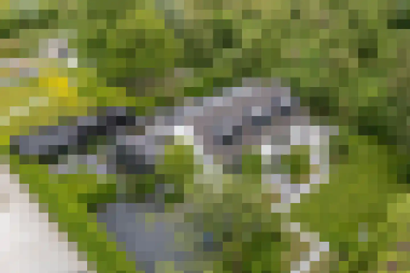 Zandweg 211 De Meern thumbnail 4