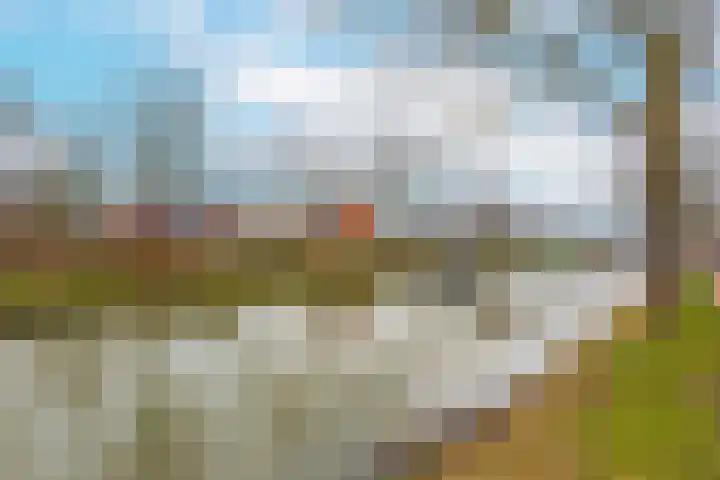 Zandweg 211 De Meern thumbnail 40