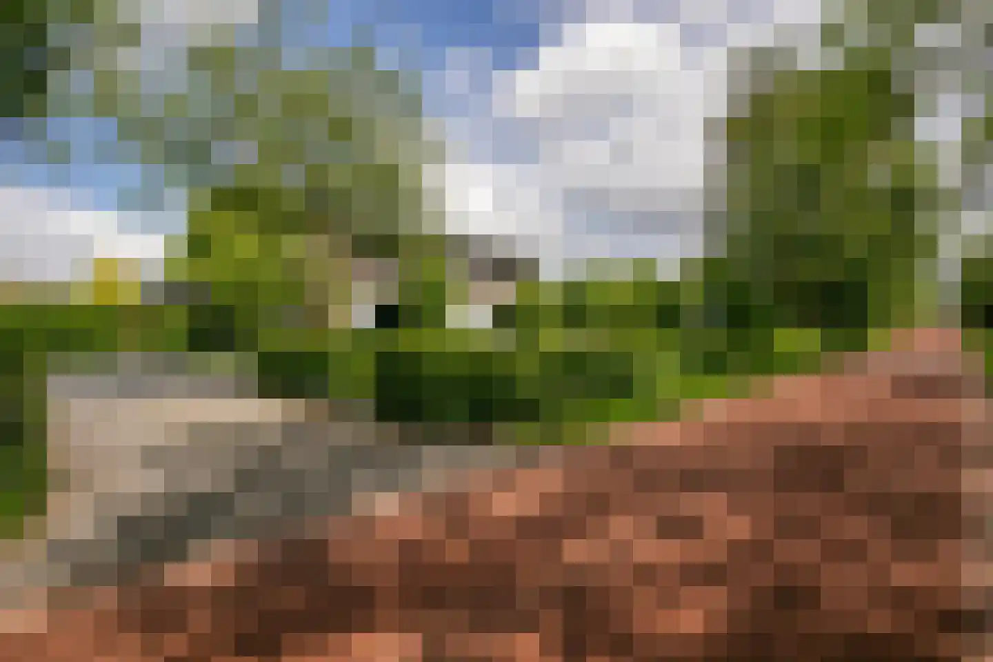 Zandweg 211 De Meern thumbnail 42