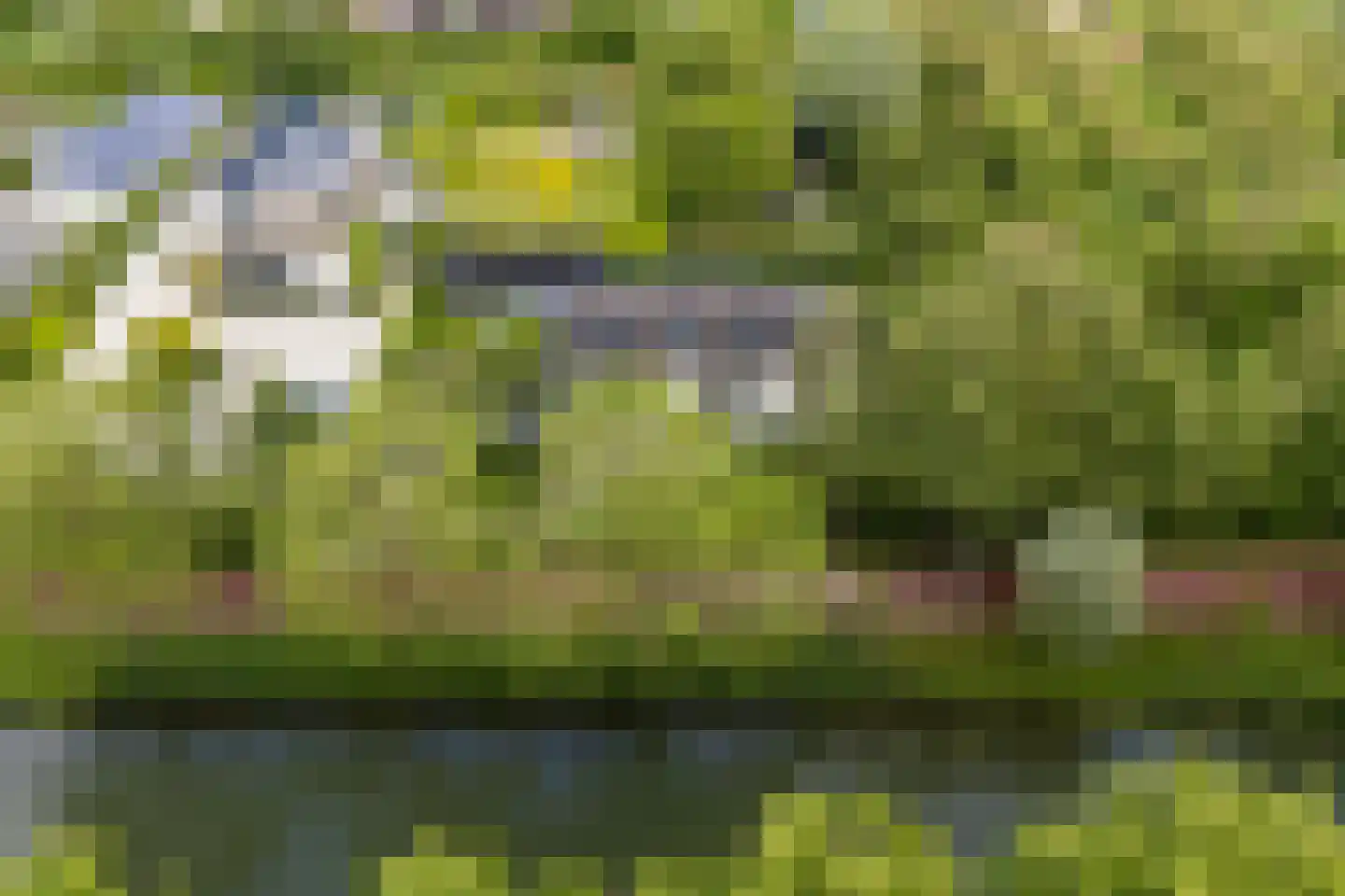Zandweg 211 De Meern thumbnail 43