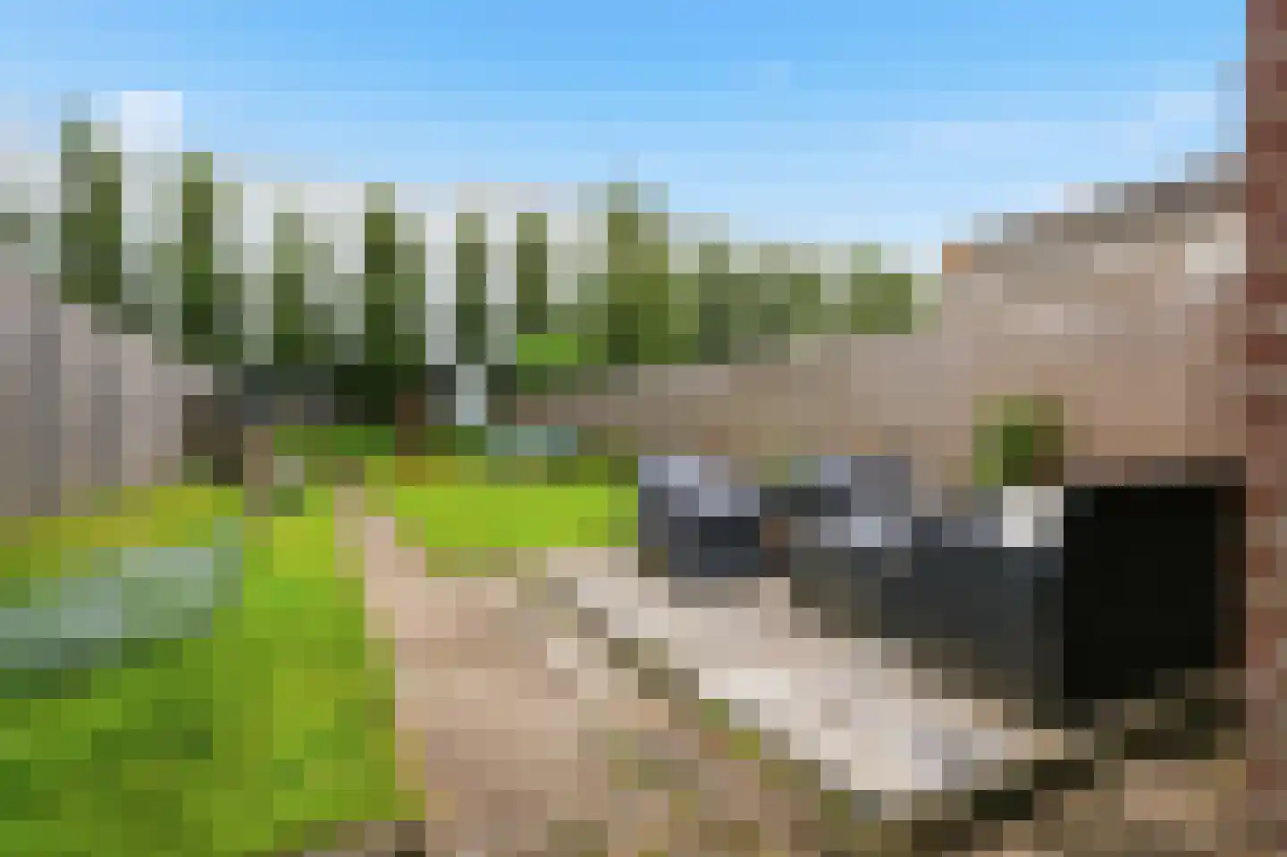 Zandweg 228 Wormer thumbnail 18