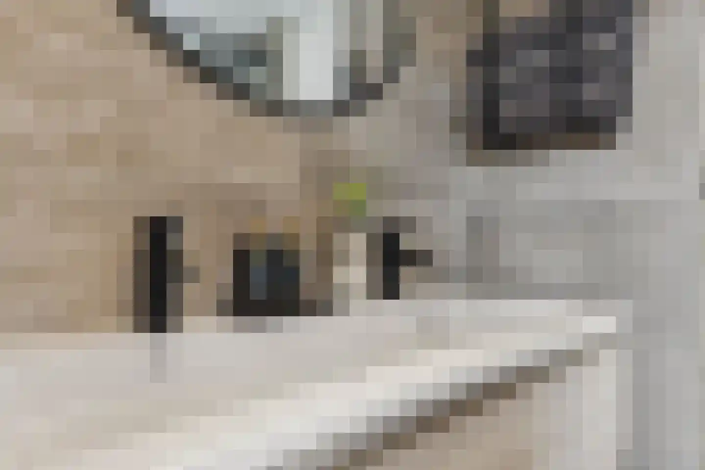 Zandweg 228 Wormer thumbnail 30
