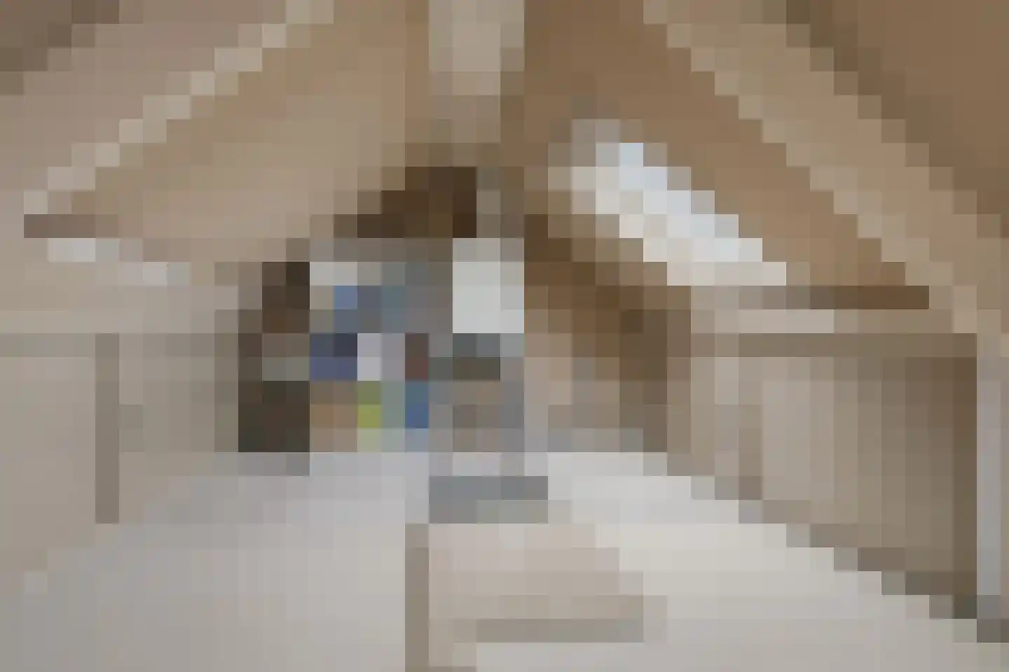 Zandweg 228 Wormer thumbnail 37