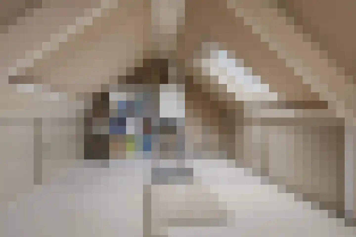 Zandweg 228 Wormer thumbnail 38