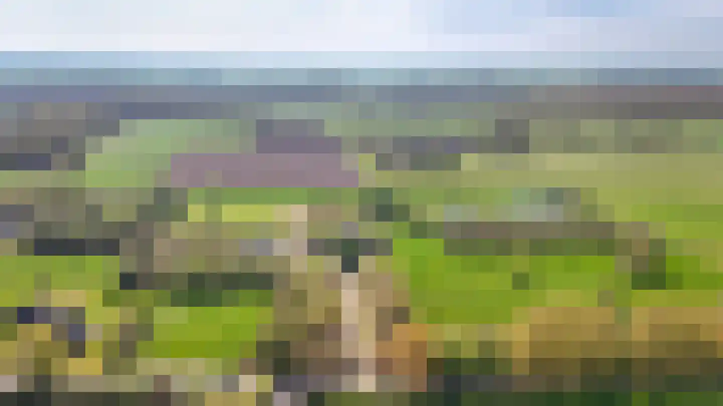 Zandweg 23 Leersum thumbnail 4
