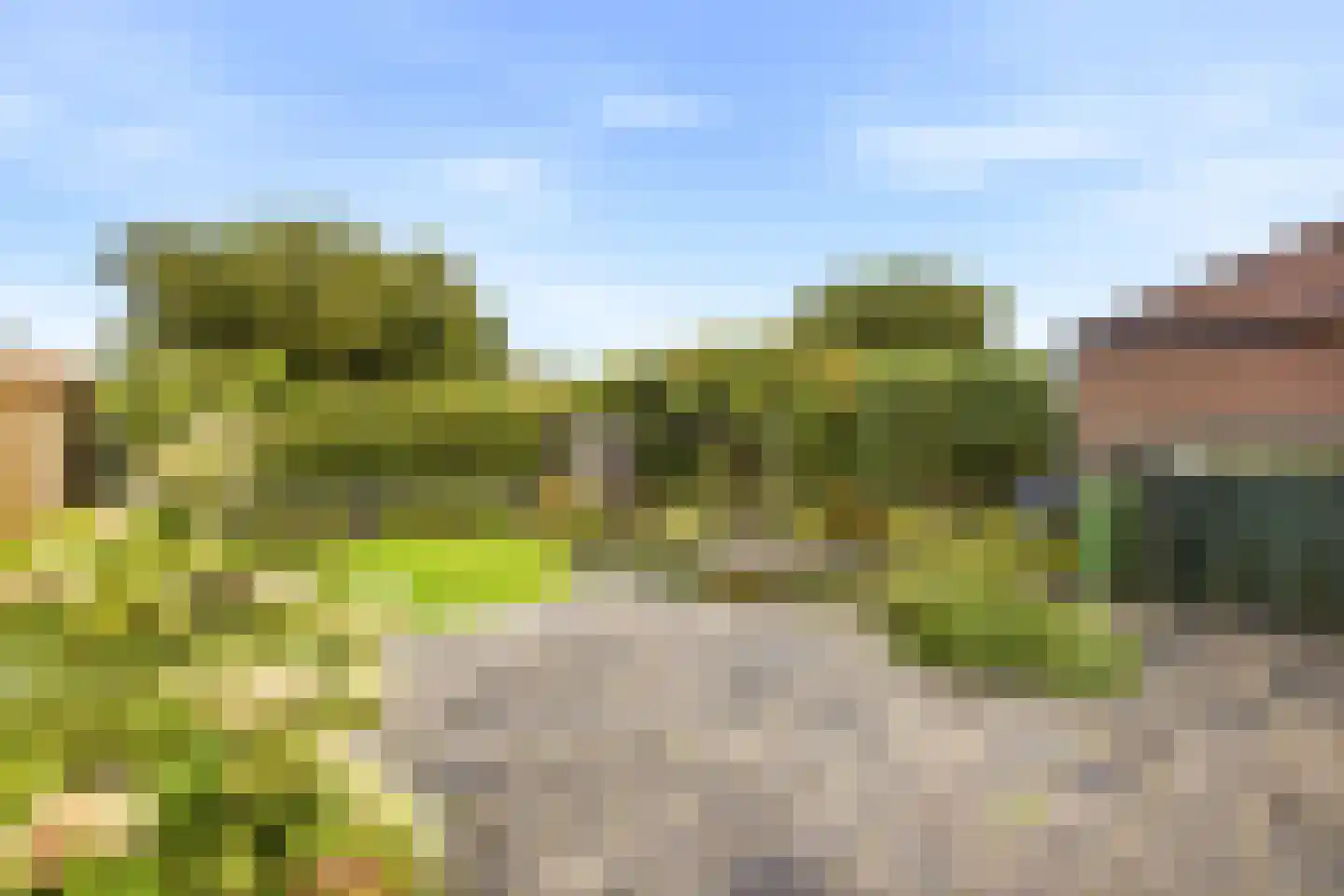 Zandweg 24 Ritthem thumbnail 17