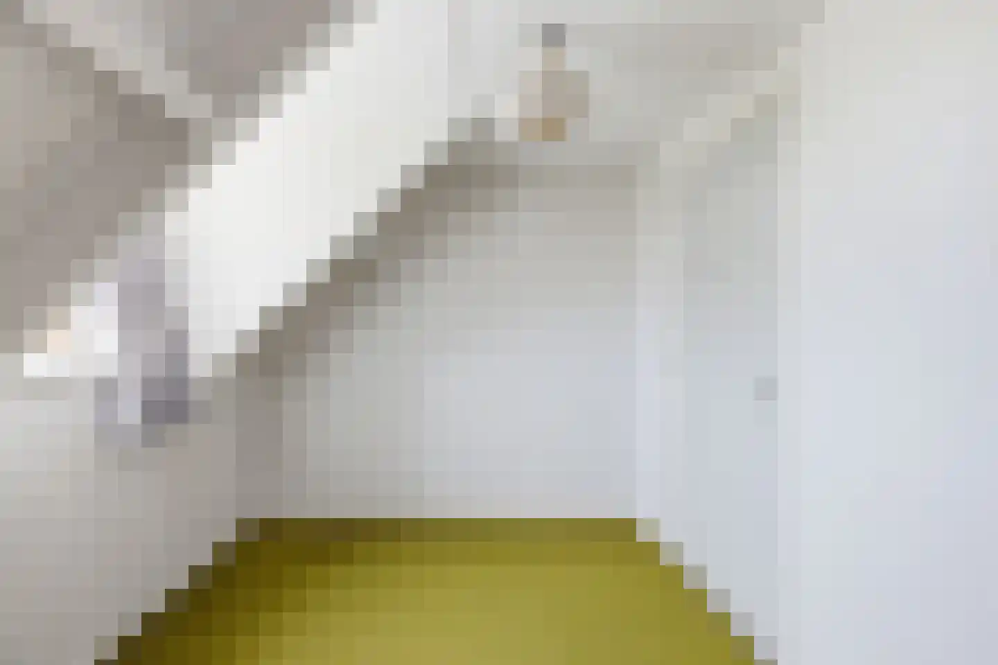 Zandweg 24 Ritthem thumbnail 25