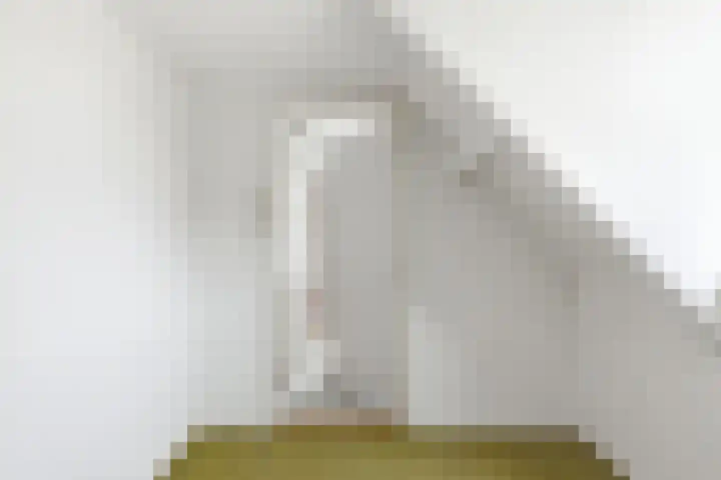 Zandweg 24 Ritthem thumbnail 26