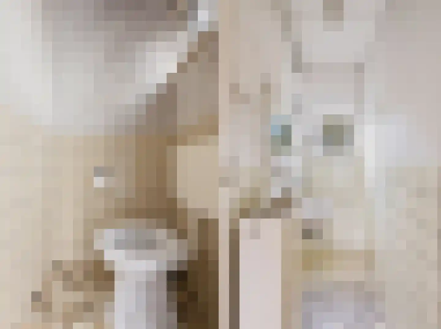 Zandweg 24 Ritthem thumbnail 7