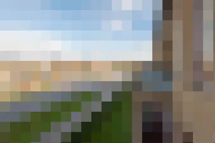 Zandweg 27 30 Wijk bij Duurstede thumbnail 30