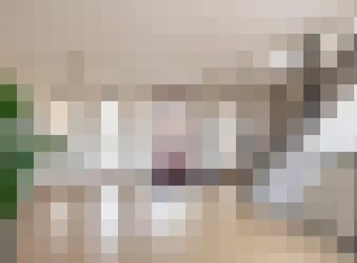 Zandweg 27 30 Wijk bij Duurstede thumbnail 6