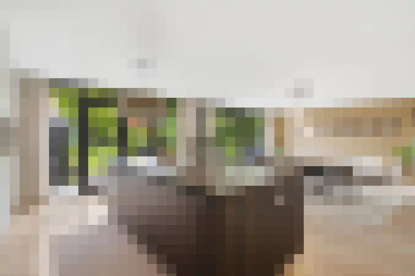 Zandweg 3 a Maarssen thumbnail 18
