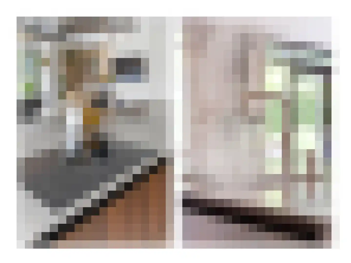 Zandweg 3 a Maarssen thumbnail 20