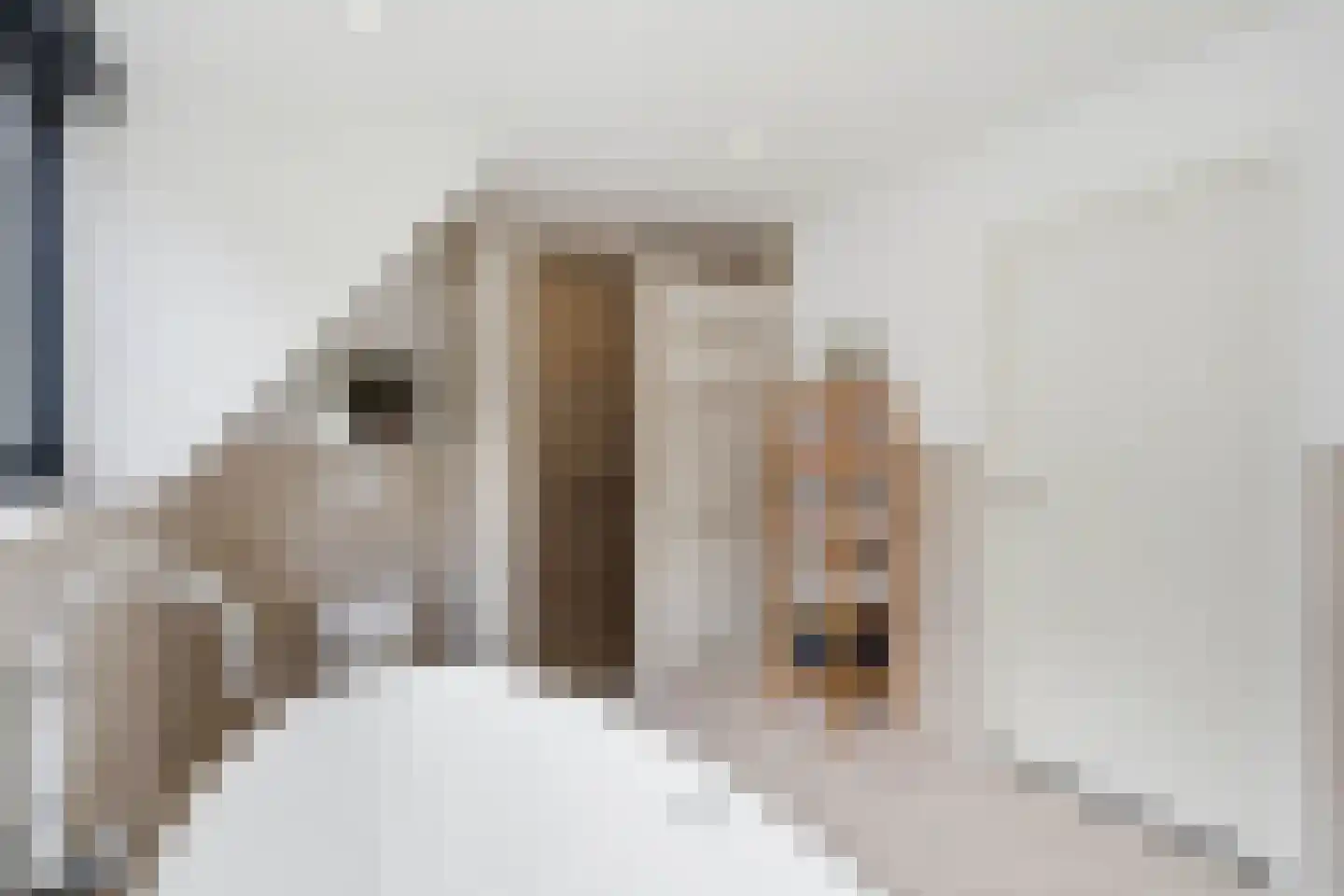 Zandweg 3 a Maarssen thumbnail 45