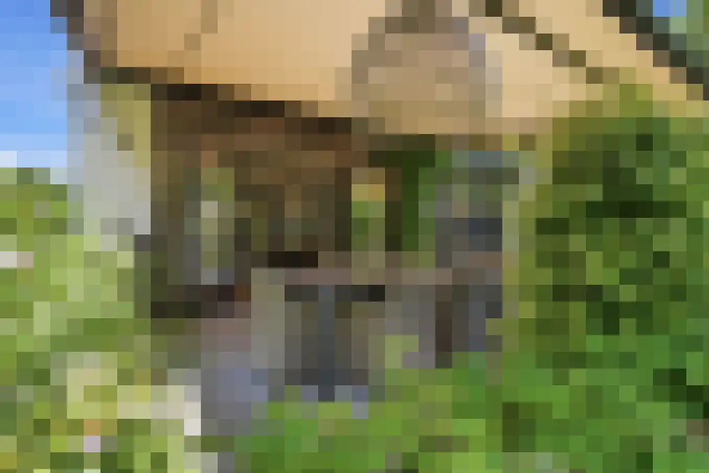 Zandweg 3 a Maarssen thumbnail 64