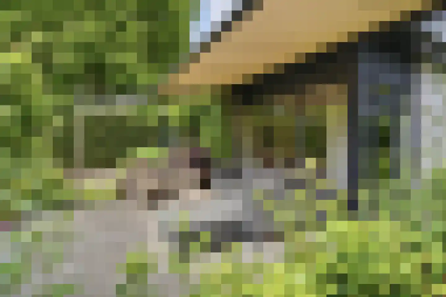 Zandweg 3 a Maarssen thumbnail 65