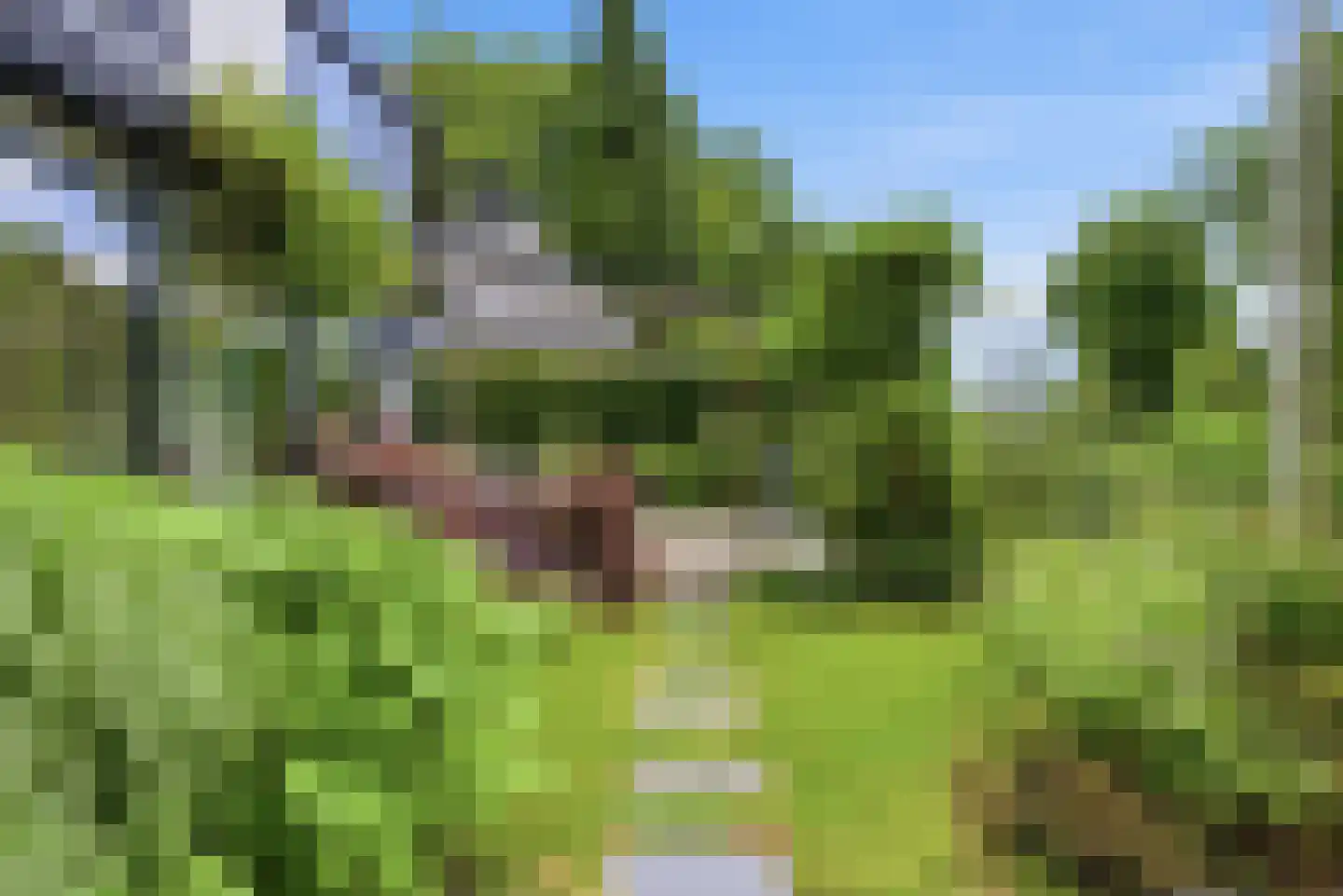 Zandweg 3 a Maarssen thumbnail 68