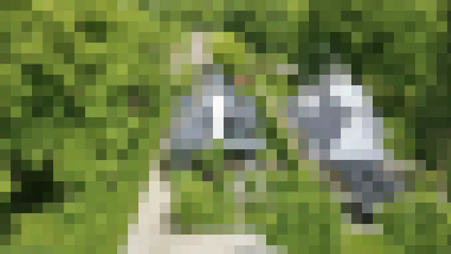 Zandweg 3 a Maarssen thumbnail 71