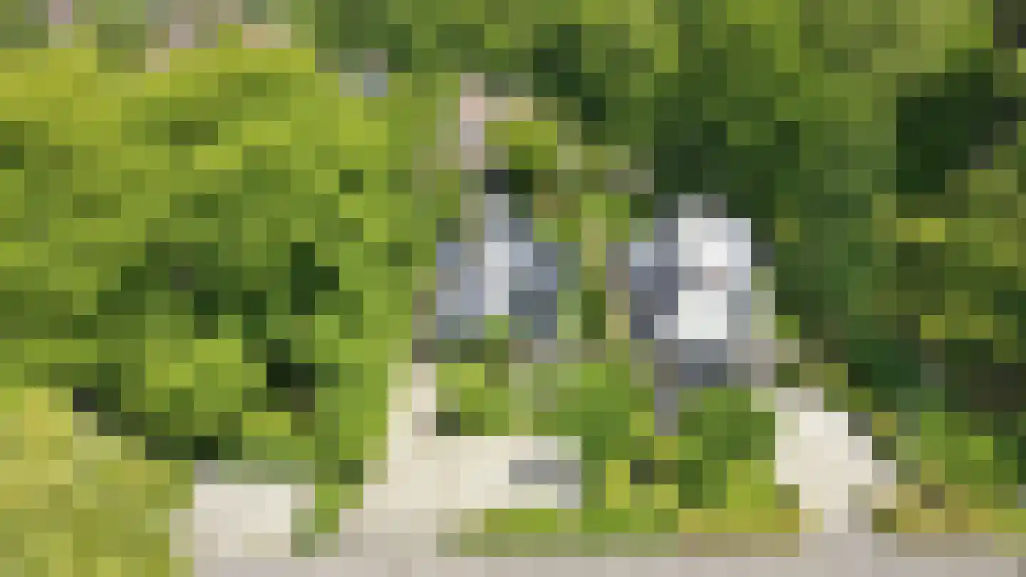 Zandweg 3 a Maarssen thumbnail 72