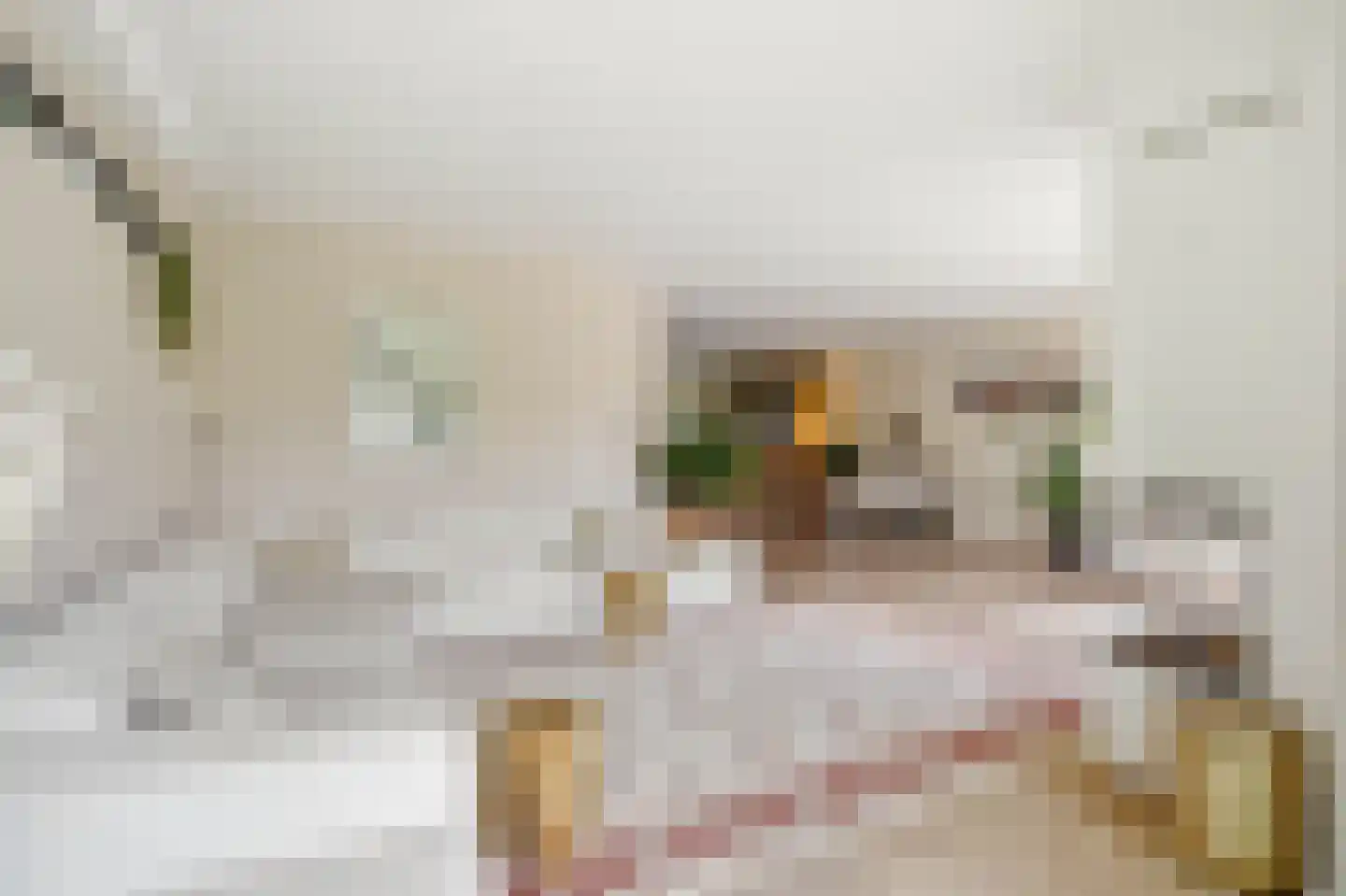 Zandweg 3 a Maarssen thumbnail 8