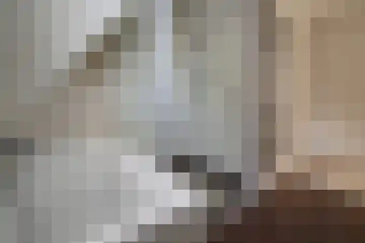 Zandweg 3 Maarssen thumbnail 20