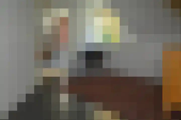 Zandweg 3 Maarssen thumbnail 28
